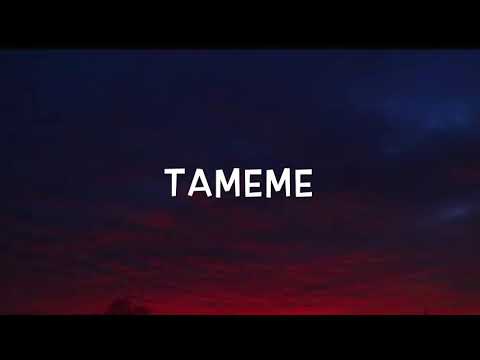 Jolina Magdangal - Tameme (LYRICS)