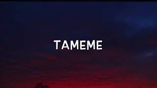 Jolina Magdangal - Tameme (LYRICS)