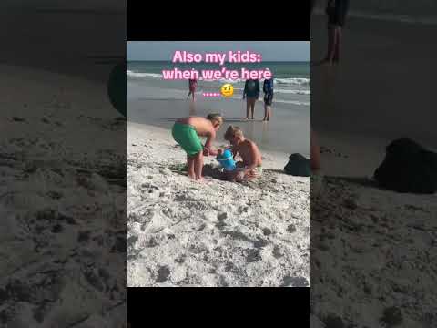 Beach vibes & family fun #creatorinsights #creatorsearchinsights #thebeach