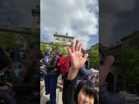 火災後:ノートルダム大聖堂の下で「人型」の物体が発見 – 今すぐ開けられるべき