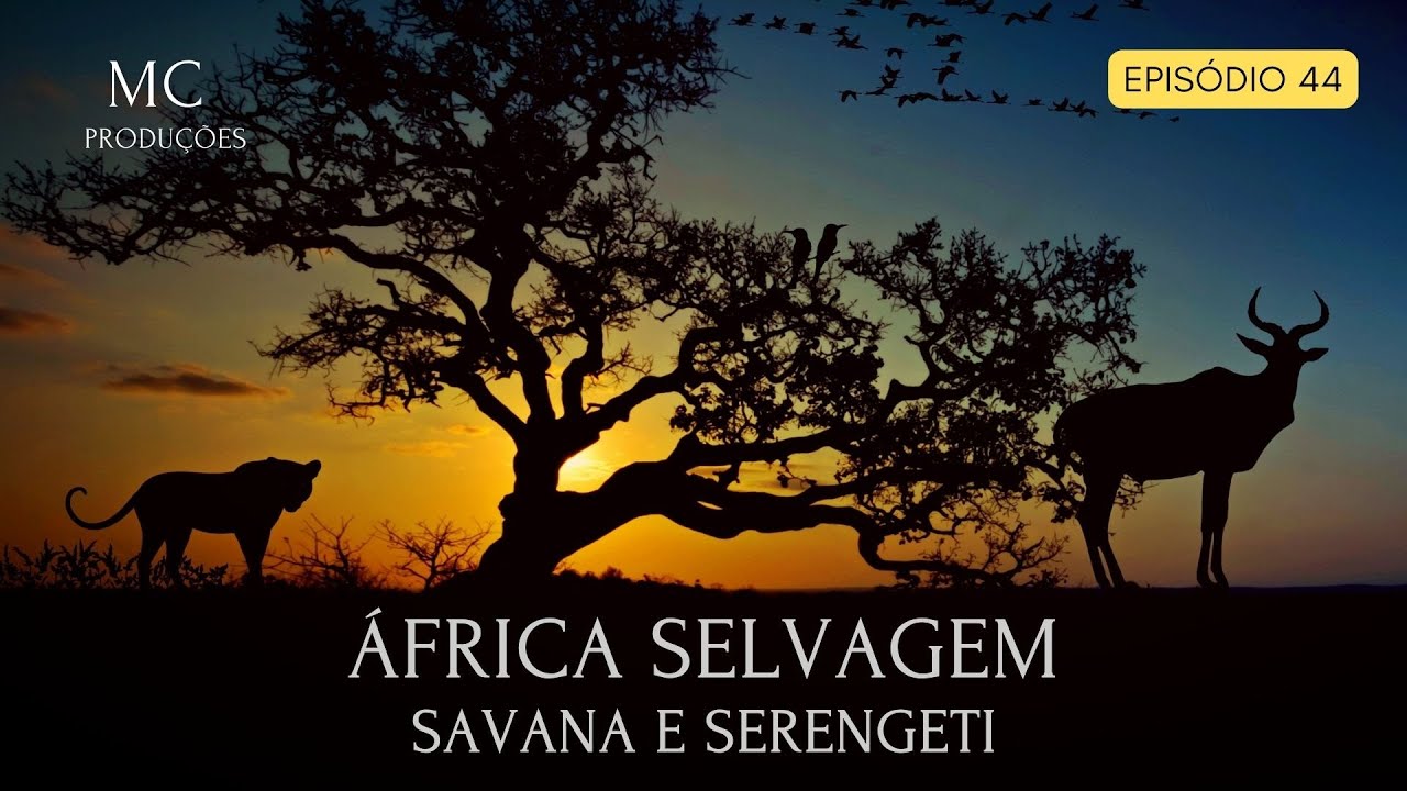 ÁFRICA SELVAGEM - Savana e Serengeti