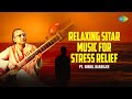 Relaxing Sitar Music For Stress Relief | Pt. Nikhil Banerjee | Indian Classical Instrumental Music