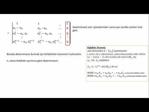 Lineer Cebir Vandermonde Determinant