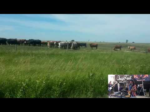 CHUGFEST "HELLO UGANDA FARMERS" LSD25RECORDS JULY 14 2018