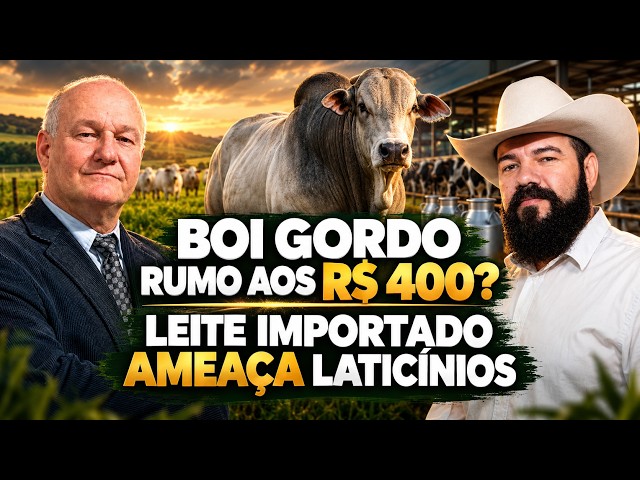 Boi Gordo Rumo aos R$ 400? Leite Importado Ameaça Laticínios