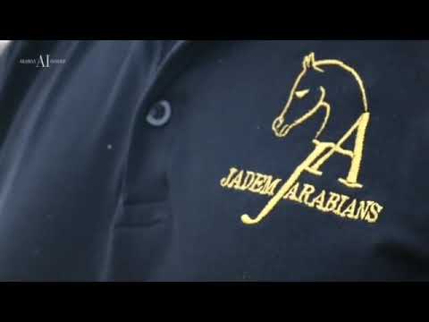 المهره المميزة رويال أصيلة