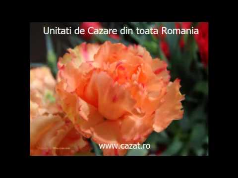 Cazare Broscauti, Botosani - Cazat.ro