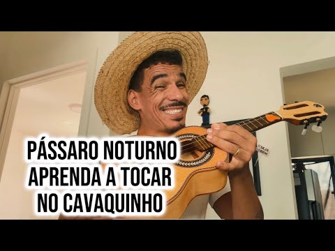 Pássaro Noturno - Simone e Simaria