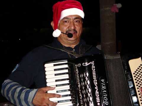 Tome piranha - Dedim Gouveia