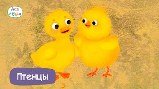 Ася и Вася - Птенцы