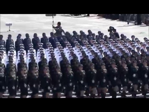 Zoltan Freitag - Crowds