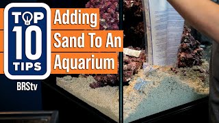 5-Minute Guide To Saltwater Aquariums