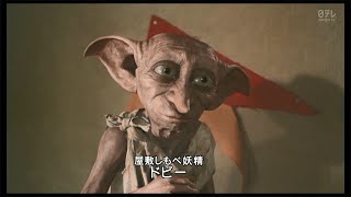 初めましてのドビー