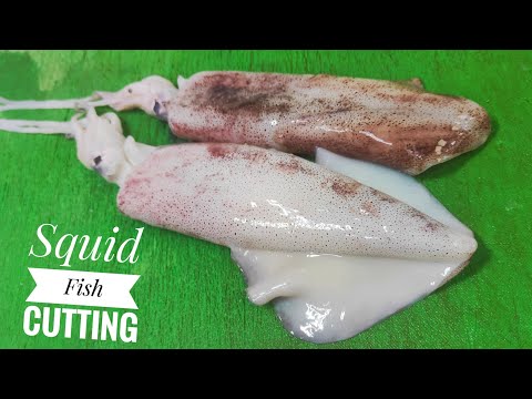Amazing Squid Fish Cutting Skills | Squid Cutting Essay way
