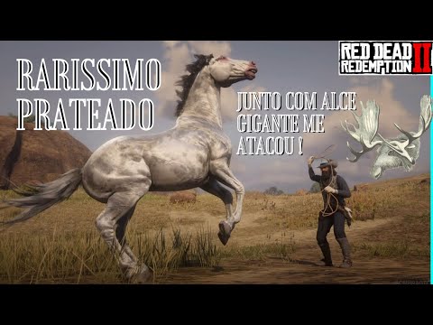Cavalo Raro no Red Dead Redemption 2 Andaluz Prateado (Alce gigante e atacou kk)