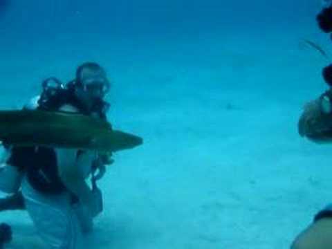 Fighting a 4.5' Green Moray Eel in Grand Cayman