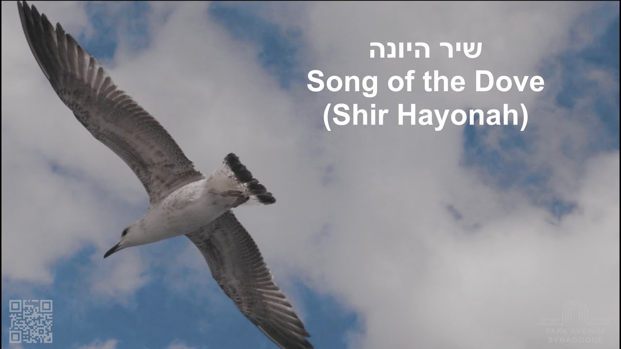 Song of the Dove (Shir Hayonah)