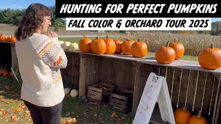 Finding the Perfect Pumpkins! 🎃 Exploring Michigan's Orchards in Full Fall Color
