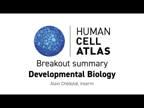 Hinxton 2018 - Breakout summary: Developmental biology atlases