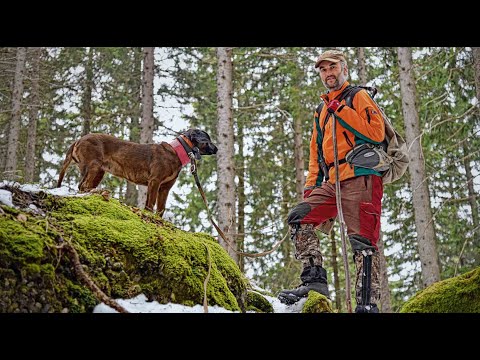 Nachsuchen im Gebirge: Ein Berufsjäger erklärt worauf es ankommt