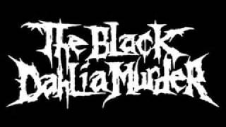 the black dahlia murder  burning the hive