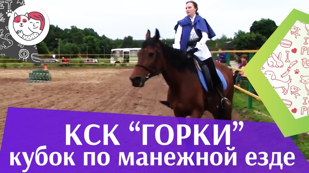 Летний кубок КСК Горки по манежной езде КЮР часть 2 на ilikepet