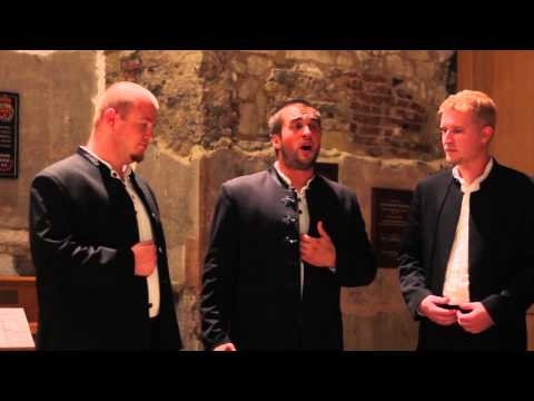 Klapa Kožino London Concert - Sridu stabal u dubravi