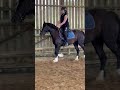 Super Ponette &agrave; vendre 