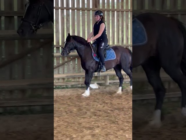 Super Ponette &agrave; vendre 