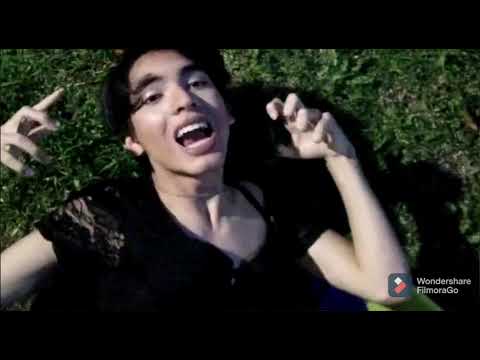 Los tombos se acostumbraron