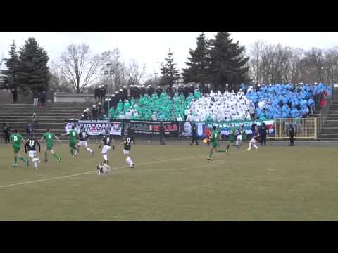 Pies na boisku podczas meczu Bug Wyszkow - Polonia Warszawa. Jaka to rasa :P?