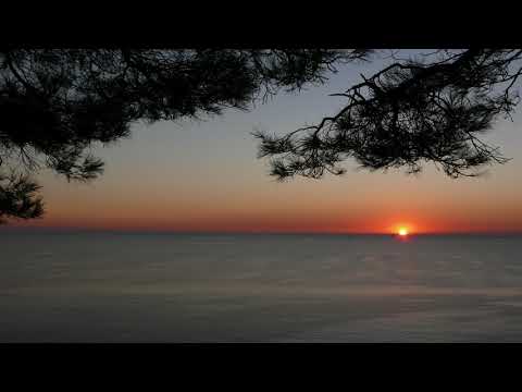Vadim Indigo (DP-6) - The Sun (2010)