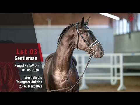 Youngster-Auktion Lot 03 Gentleman Hengst v. Global Player - Floriscount