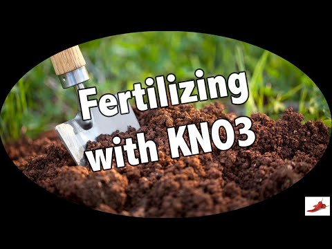 , title : 'Using KNO3 to Fertilize your Tomatoes and Pepper Plants.'