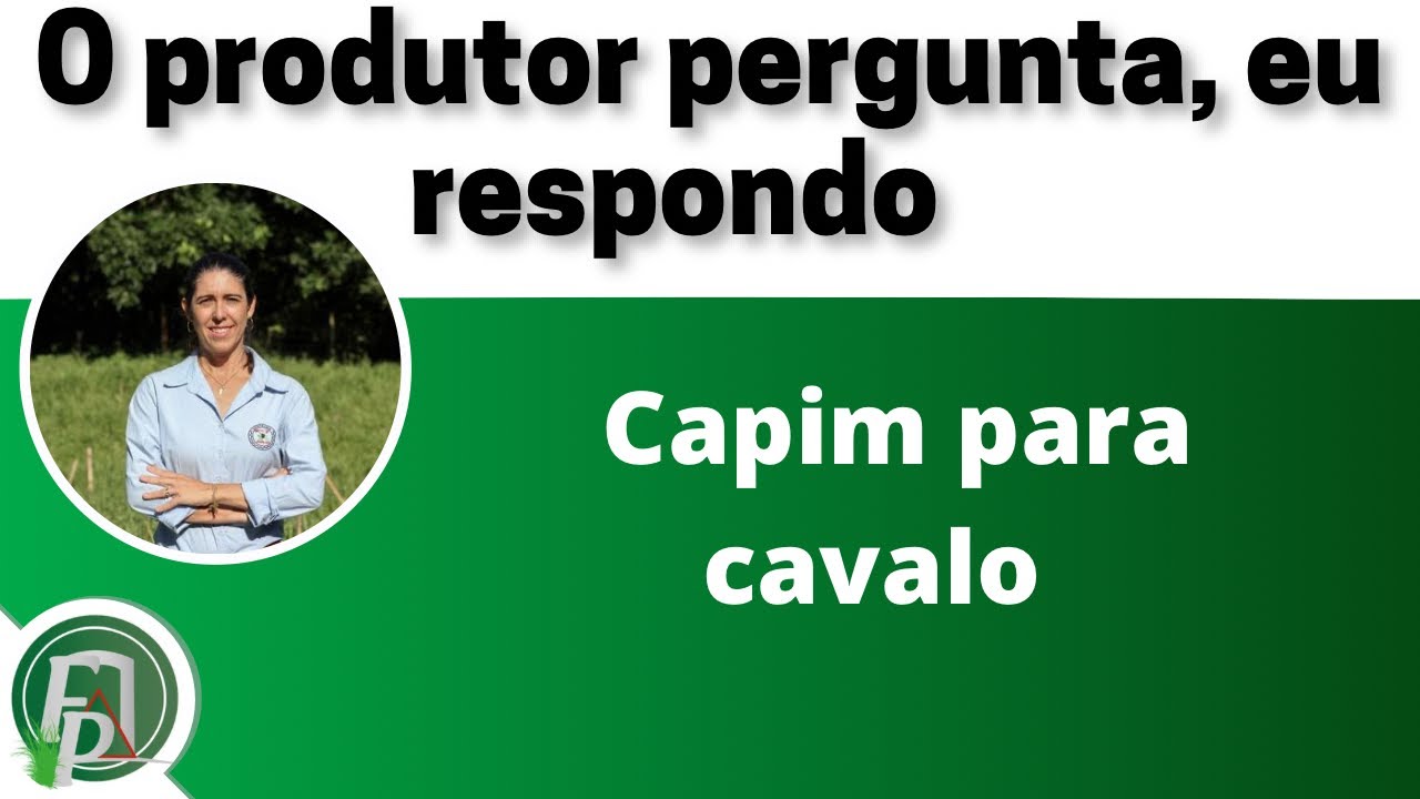 CAPIM PARA CAVALO