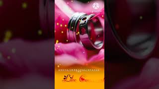 Download lagu Dil hai ki Manta nahin is Dil pay kiska jor#2023 #ringtone #video status WhatsApp mp3