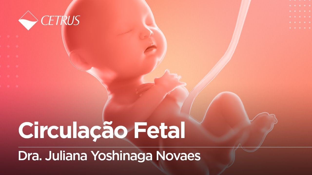 Circulação Fetal | Dra. Juliana Yoshinaga Novaes