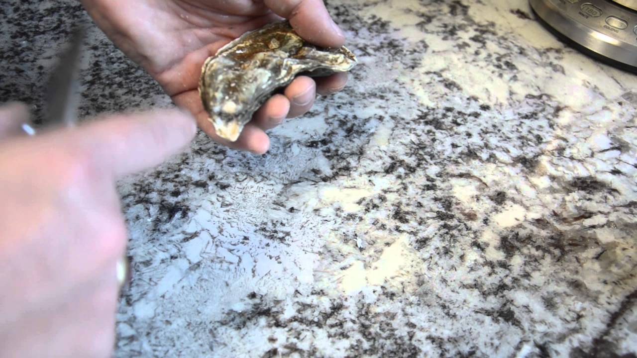 The BrewShucker Oyster Tool video thumbnail