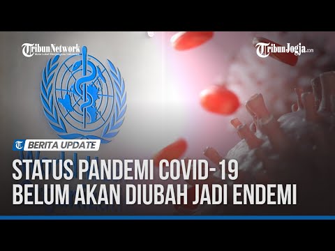 Status Pandemi Covid 19 Belum Akan Diubah Jadi Endemi