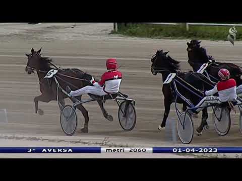 Aversa trotto 1 Aprile 2023 - 3° Corsa
