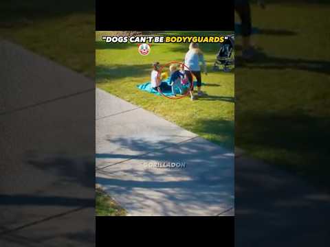 Dogs Protect Owners Moments! 🐕