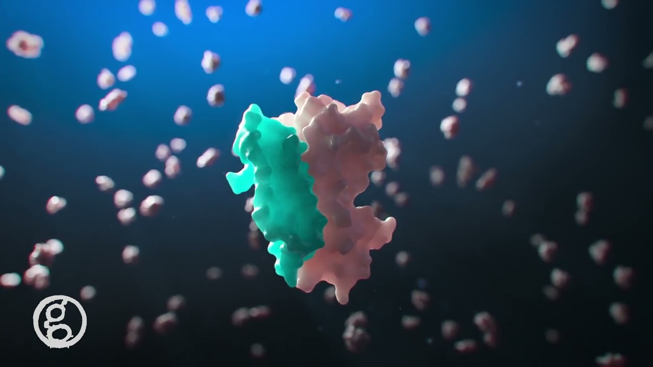 SOMA Scan Assay - Somalogic - 4K MOA Animation