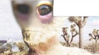 Download lagu Alien Photo Shuts Down 4Chan in 2017 Discovered mp3 Download lagu Alien Photo Shuts Down 4Chan in 2017 Discovered mp3