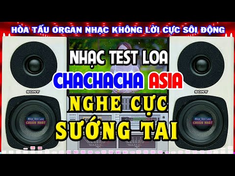 LK Hoà Tấu ChaChaCha Asia 2024 CỰC SÔI ĐỘNG - Âm Thanh Sắc Nét -Nhạc Test Loa Chuẩn Nhất