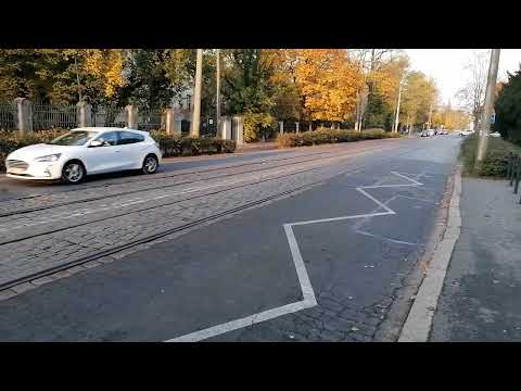 Wrocław, ulica Mickiewicza, Park Szczytnicki VID 20241027 155247