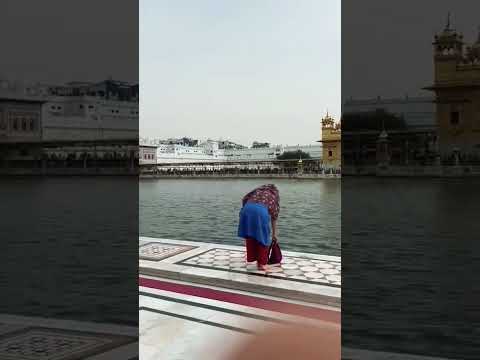 gurbani - whatsapp status video download sharechat #short #youtubeshorts #whatsappstatus 🙏🙏