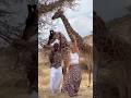 He knew the show was over😂😭 #giraffe #safari #couple #dance