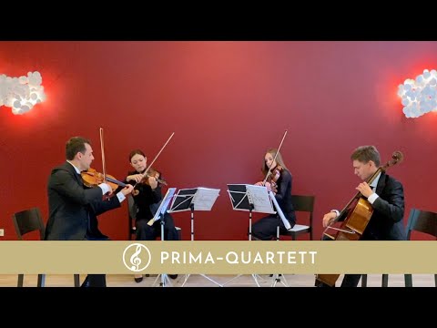 Lascia Ch'io Pianga | Händel | Arie Rinaldo | Streichquartett Cover {Live}