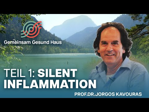 Interview mit Prof.  Dr.  Jorgos Kavouras, Teil 1: Silent inflammation & chronische Krankheiten
