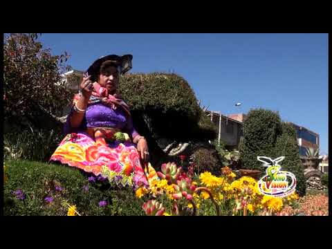 Chabuca la Princesita - No llorare por tu Amor